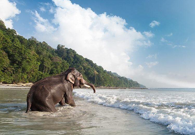 Andaman Beyond the Horizon 6N7D