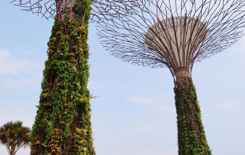 The Best of Singapore: Gardens, Skyscrapers, & Culture 6N7D