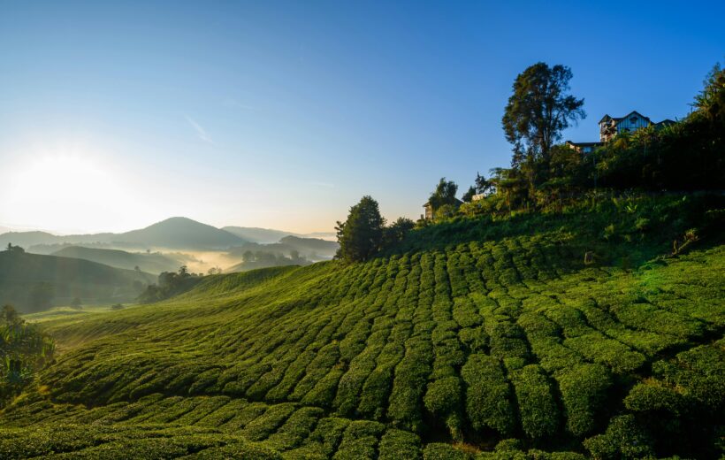 Discover Malaysia: Nature, Culture & Adventure 5N6D