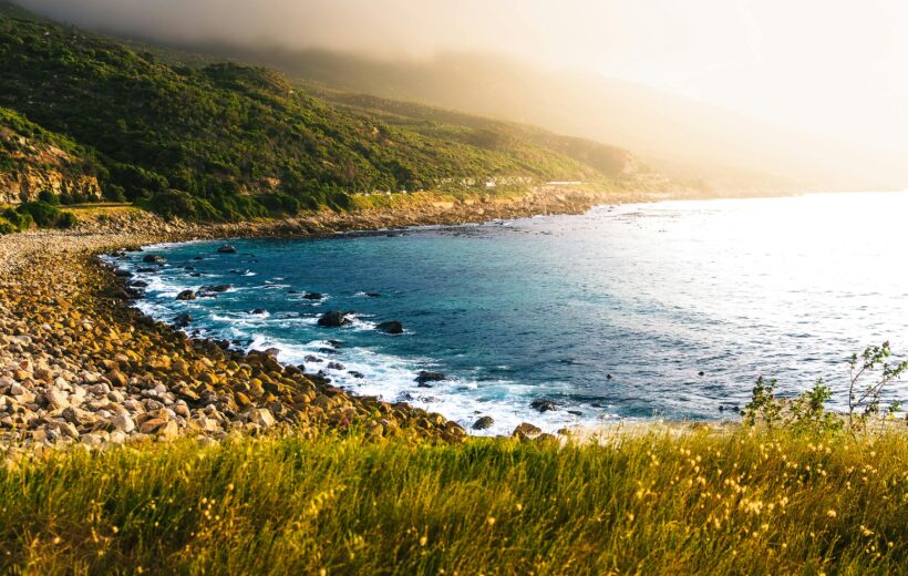 The Best of South Africa: Safari & Urban Vibes 7N8D