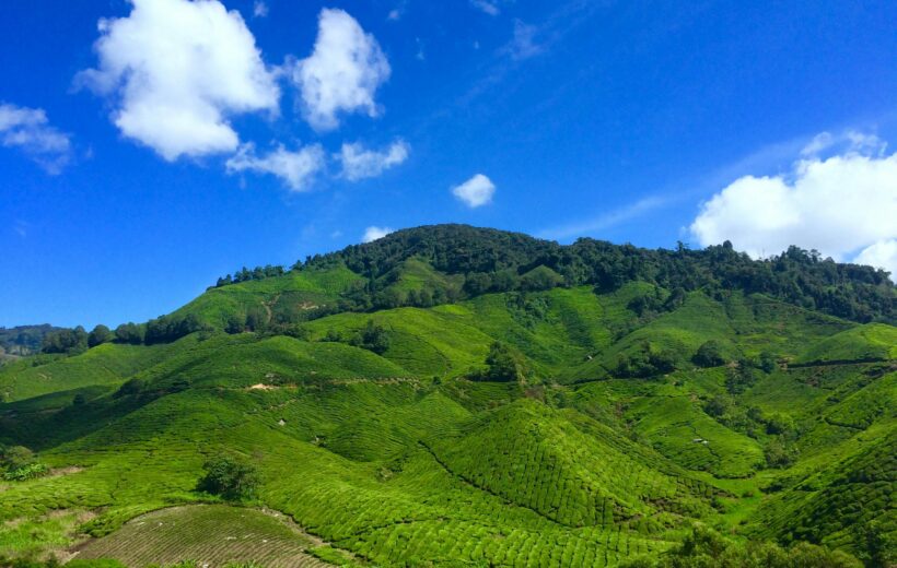 Magical Malaysia: A Journey Through Cultures 3N4D