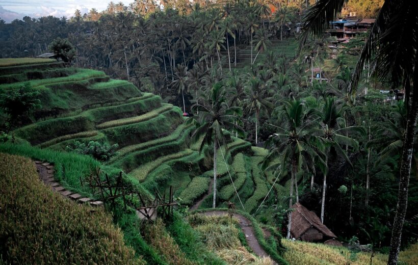 Bali Heritage Trails 5N6D