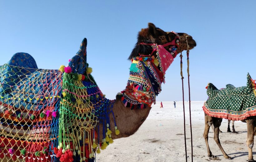 Gujarat Rann of Kutch from Bhuj 6N7D