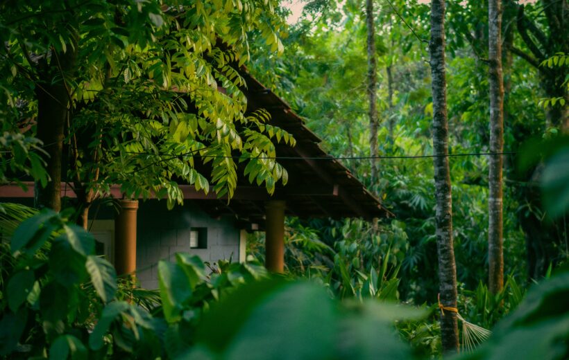 Murudeshwar, Coorg, Ooty, Mysore, and Coonoor 6N7D