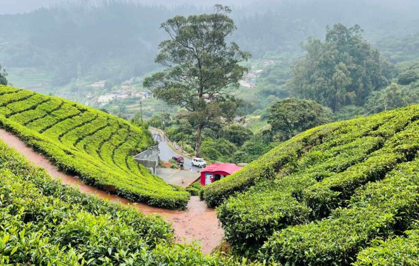 Murudeshwar, Kodaikanal, Ooty, and Mysore 7N8D