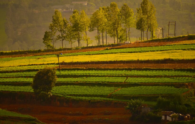 Murudeshwar, Mysore, Ooty, and Coonoor 5N6D